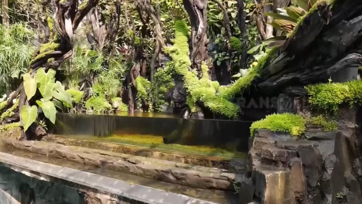 8 Potret Paludarium Raksasa di Rumah Denny Cagur yang Megah, Pemandangan Indah - Ditaksir Berharga Fantastis