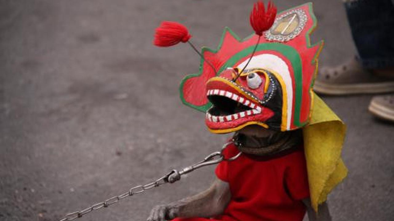 Keelokan seni budaya Malang Tempo Doeloe 2012