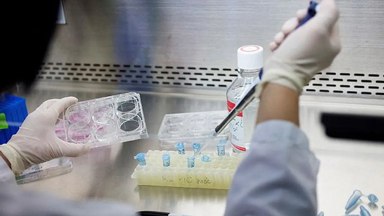 stemcell-3