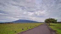 Taman Nasional Baluran di Situbondo, Jawa Timur, ditutup sementara mulai hari ini, Senin (21/12/2020) hingga 3 Januari 2021 (dok.instagram/@tamannasional_baluran/https://www.instagram.com/p/B790mNWgxMx/Komarudin)