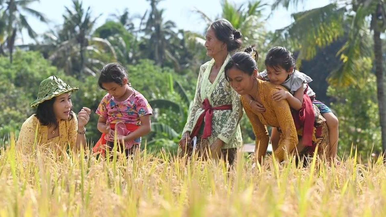 Penampilan Cantik Veronica Tan Turun ke Sawah Petik Padi, Bicara Soal Ibu Rumah Tangga jadi Sorotan