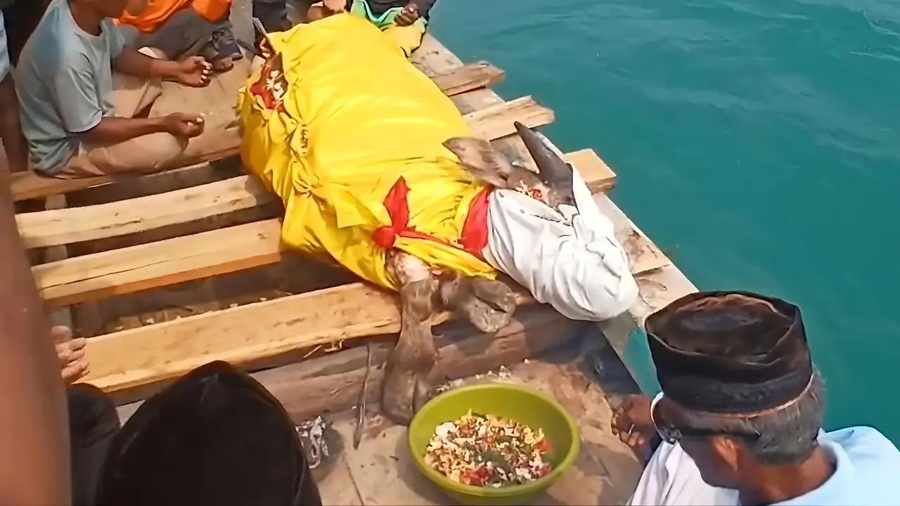 Kerbau dilarung ke laut