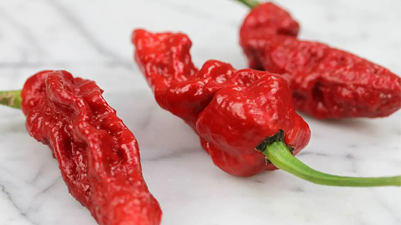 Rasa Pedas dan Dingin Bikin Kita Kepo Cicipi Es Krim Hantu