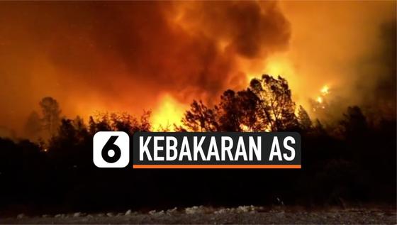 VIDEO: Luas Kebakaran California Mencapai 3,2 Juta Hektare