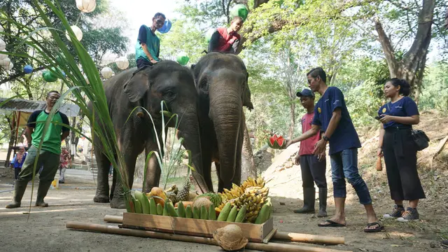 World Elephant Day