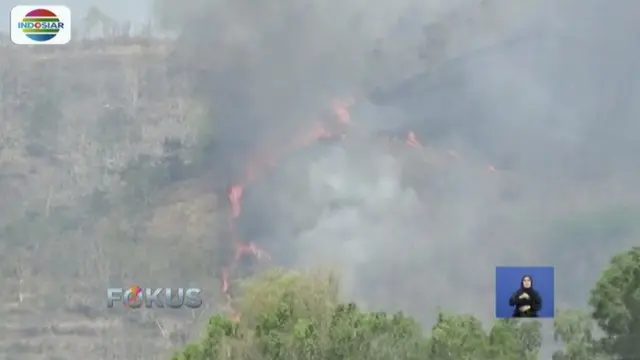 Tujuh hektar lahan hutan Gunung Kebo, Trenggalek, terbakar. Petugas belum mengetahui penyebab kebakaran.