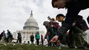 Sejumlah bunga diletakkan memenuhi halaman rumput Gedung Capitol (kantor kongres) Amerika Serikat, Senin (19/3). 5000 bunga diletakkan untuk mengenang ribuan anak yang tewas akibat pengeboman oleh koalisi pimpinan Arab Saudi di Yaman (AP/Jacquelyn Martin)