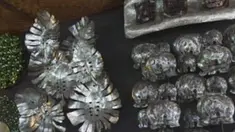 liputan6