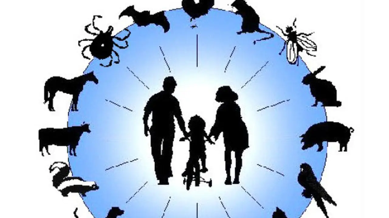 Tanggal 6 Juli Memperingati Hari Zoonosis Sedunia, Ketahui Sejarah dan Pencegahannya