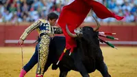 Bukan warnanya, ternyata banteng merasa terancam saat matador menggerakan kain merah (Sumber foto: timeline.com)