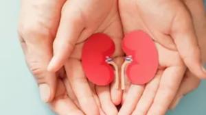 4 Kebiasaan Sederhana untuk Menjaga Ginjal Tetap Sehat hingga Usia Lanjut