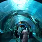 Terowongan bawah laut di S.E.A Aquarium (Liputan6.com/Novi Nadya)