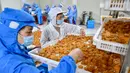 Para pekerja memilah kerang abalon di sebuah perusahaan, Lianjiang, Provinsi Fujian, China, 14 Juli 2020. Industri budi daya abalon di Lianjiang telah ditingkatkan dan dikembangkan melalui pengenalan platform budi daya laut dalam dan inovasi beragam keterampilan budi daya. (Xinhua/Jiang Kehong)