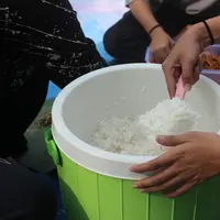 Ilustrasi nasi putih (foto: Unsplash/Adriel Prastyanto)