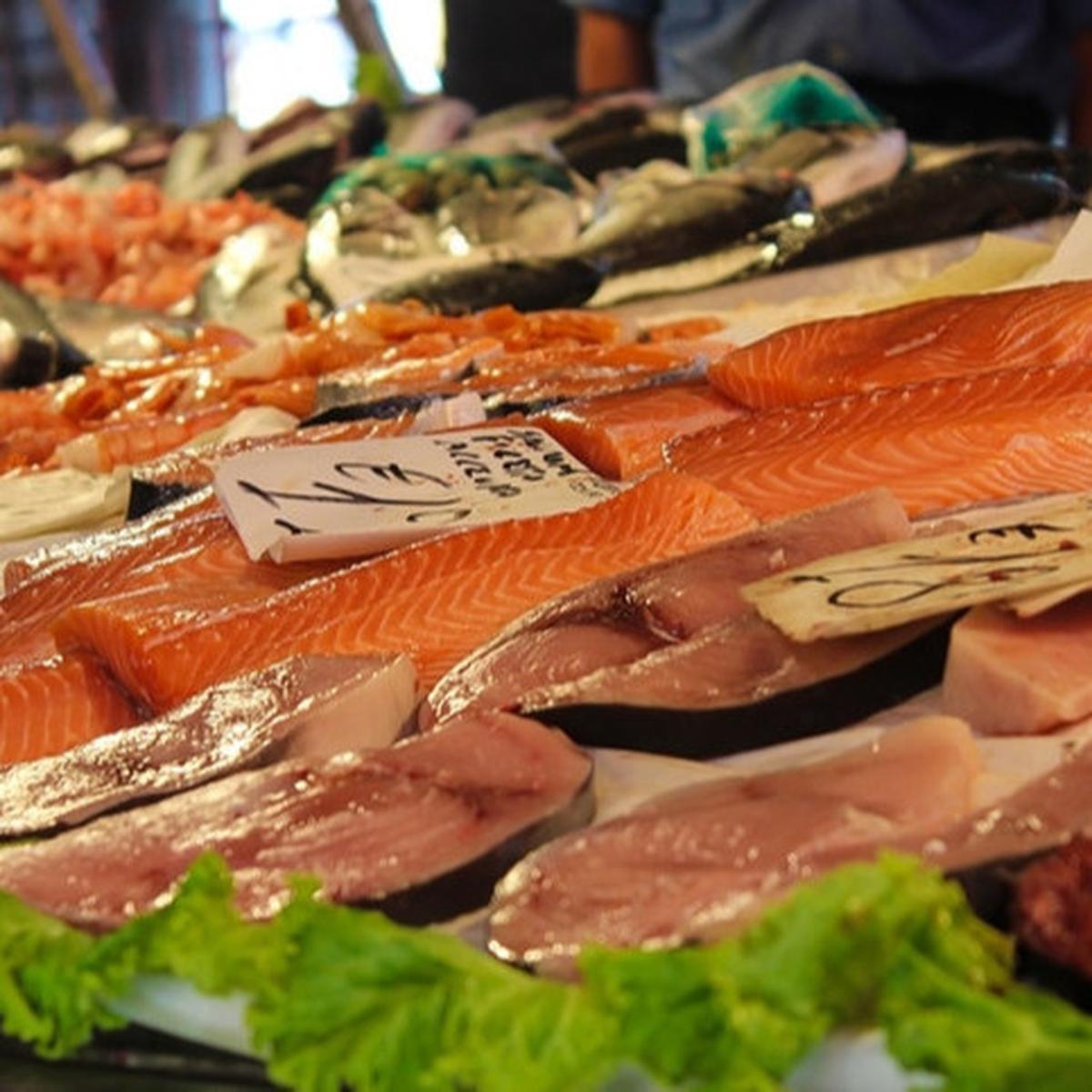 Ikan tuna