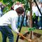 Presiden ke-5 RI yang juga Ketua Dewan Pengarah Badan Riset dan Inovasi Nasional (BRIN), Megawati Soekarnoputri, melakukan penanaman pohon Bodhi di Universitas Gadjah Mada (UGM). (Foto: Tim Media DPP PDIP).