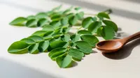 10 Manfaat Daun Kelor Si Superfood yang Kaya Nutrisi dan Khasiat Medis
