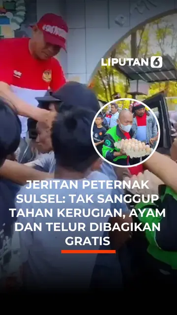 Jeritan Peternak Sulsel: Tak Sanggup Tahan Kerugian, Ayam dan Telur Dibagikan Gratis