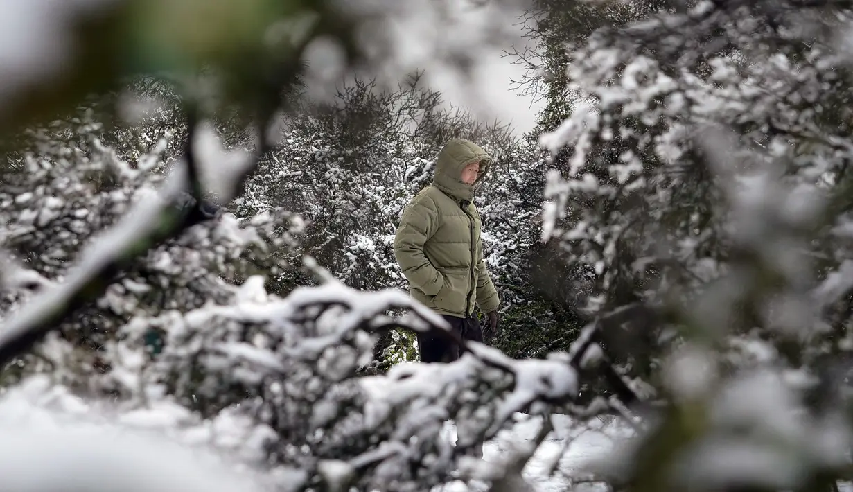 Seorang pria berjalan melewati Mount Diablo State Park di Walnut Creek, California, Amerika Serikat, 27 Februari 2023. Di California, Layanan Cuaca Nasional mengatakan serangkaian sistem badai musim dingin akan terus bergerak ke negara bagian itu setelah warga beristirahat sejenak dari cuaca buruk. (AP Photo/Godofredo A. Vásquez)