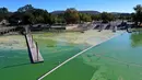 Foto udara menunjukkan mekarnya cyanobacteria atau disebut ganggang biru-hijau di Clear Lake di Redbud Park, California (26/9/2021). Clear Lake adalah danau air tawar alami terbesar kedua di California. (Justin Sullivan/Getty Images/AFP)