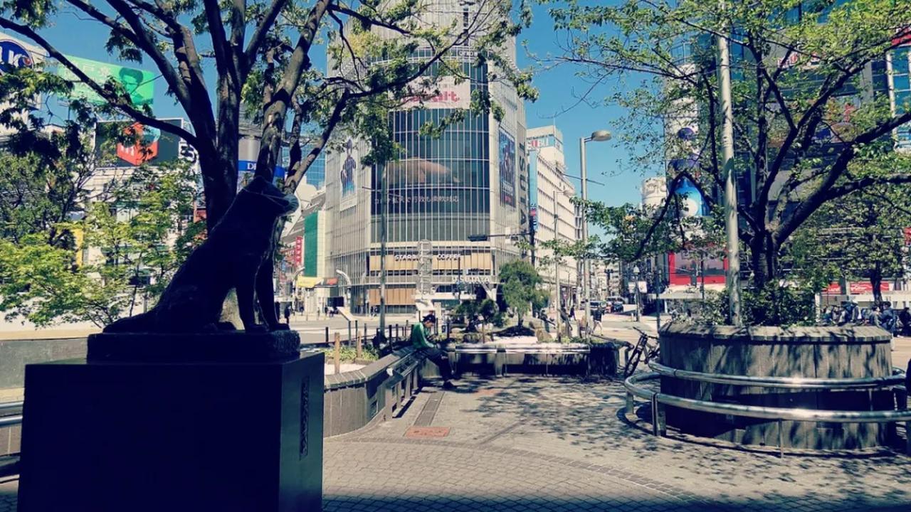 3. Berdiri Tepat di Depan Pintu Keluar Stasiun Shibuya