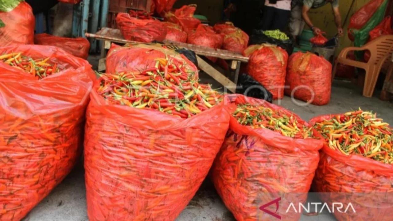 Biang Kerok Harga Cabai Rawit Meroket, Bapanas Bilang Produksi Cukup Masalahnya Dipetik