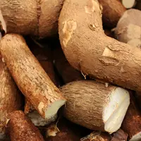 Ilustrasi singkong. (Foto: Pexels)