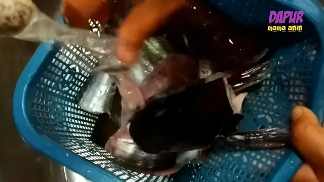 Andalkan 2 Bahan Dapur, Begini Cara Hilangkan Bau Lumpur Ikan Patin saat Dimasak