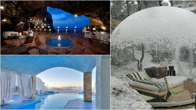 foto copyright boredpanda.com