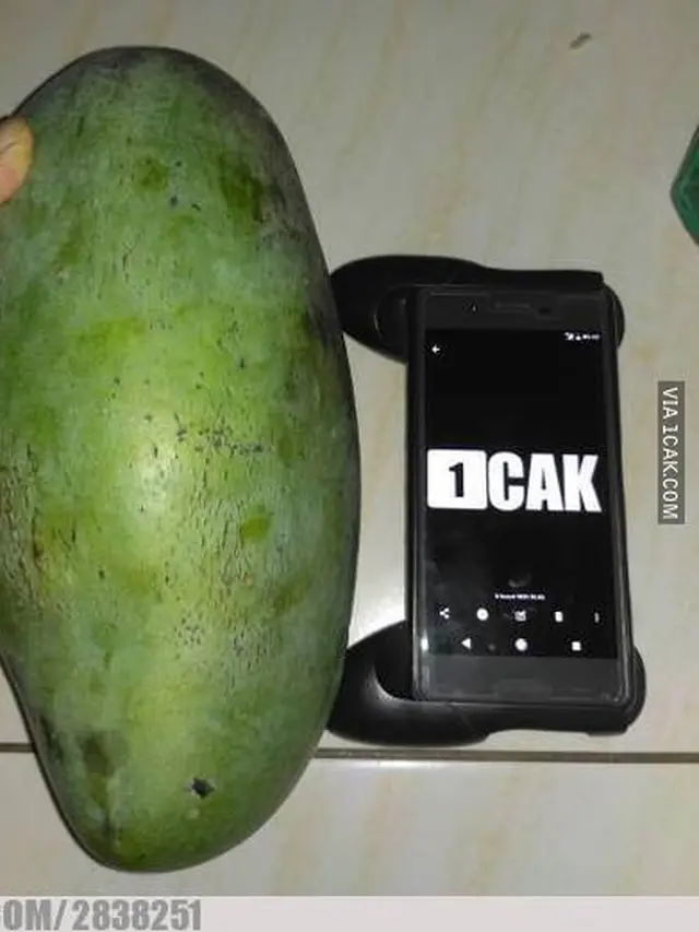 6 Momen Tak Terduga Dapat Mangga Ini Bikin Senyum Bahagia, Beruntung