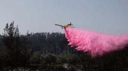 Dinas Pemadam Kebakaran dan Penyelamatan Israel mengatakan sekitar 120 anggota tim, 12 pesawat pemadam kebakaran dan helikopter dikerahkan untuk memadamkan api. (Ahmad GHARABLI/AFP)