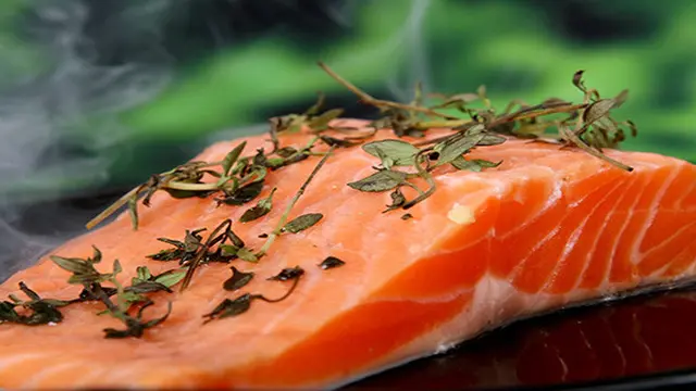 Ikan Salmon