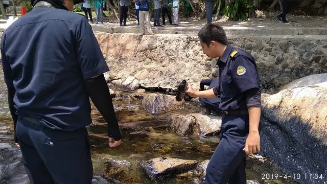 (Foto: Dok Kementerian Kelautan dan Perikanan)