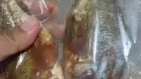 Viral, Siswa SMP di Kota Sukabumi Dapat MBG Ikan Nila Mentah Masih Berdarah dan Berbau