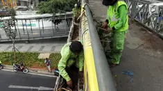 Dinas Kehutanan Provinsi DKI Jakarta menata tanaman yang dipasang di Jembatan Penyeberangan Orang (JPO) Benhil, Jakarta, Sabtu (24/8/2019). Penataan tersebut sebagai bentuk penghijauan dan mempercantik tata Kota Jakarta. (Liputan6.com/JohanTallo)