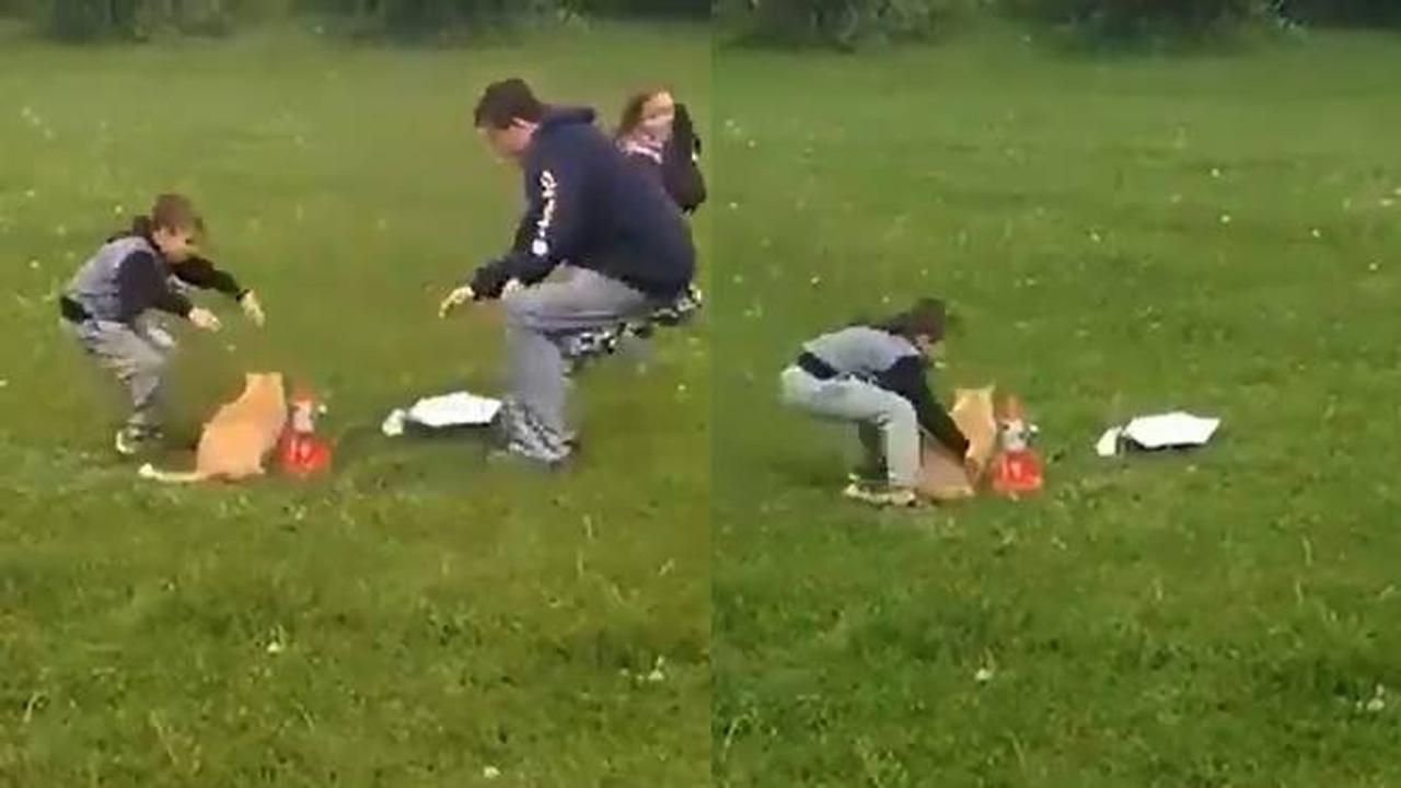 Aksi Bocah Selamatkan Kucing dari Peluncuran Roket, Ujungnya Bikin Tepuk Jidat