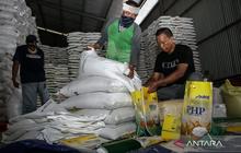 Panen Raya 2026: Ujian Kapasitas Gudang Bulog dan Stabilitas Harga Pangan Nasional