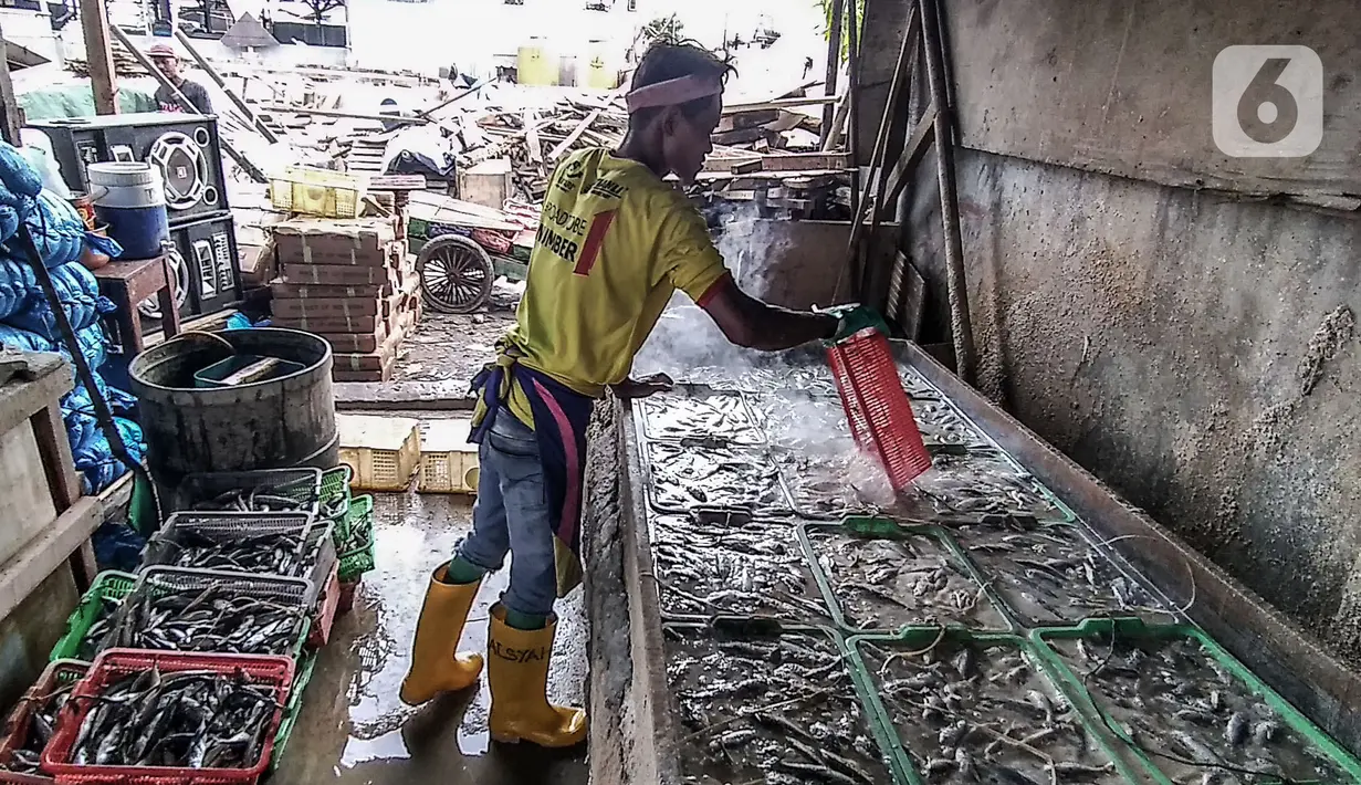 Nelayan mengolah ikan asin di Muara Angke, Jakarta, Minggu (8/11/2020). Pandemi Covid-19 dan masuknya musim penghujan di Jakarta menyebabkan permintaan sekaligus produksi ikan asin di Muara Angke merosot hingga 50 persen. (merdeka.com/Iqbal Septian Nugroho)