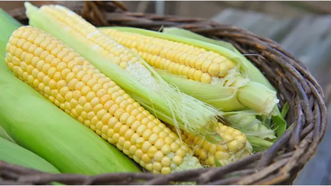 Foto : copyright shutterstock.com