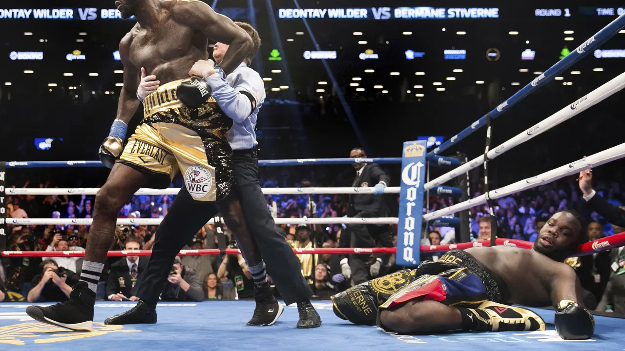 Deontay Wilder vs Bermane Stiverne