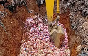29 Ton Bawang Putih Asal China Berakhir di TPA Batam