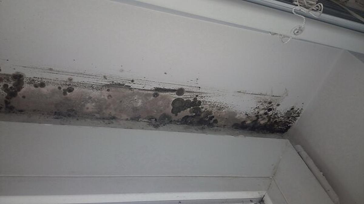 Rembesan Air di Atap Rumah