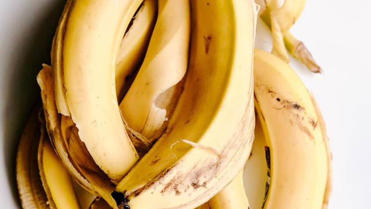 ilustrasi kulit pisang