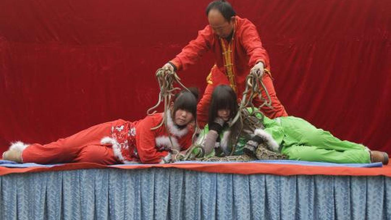 Atraksi berbahaya sambut tahun ular di China