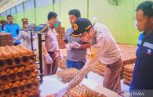 BKHIT Sumsel Dampingi Produsen Telur Ayam Tembus Pasar Global, Perkuat Ekspor Telur Sumatera Selatan