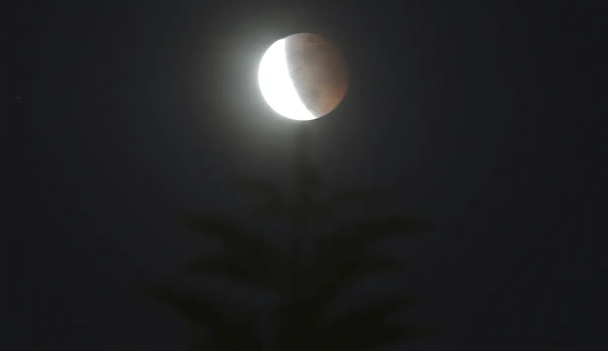Bulan purnama muncul di atas pohon saat gerhana bulan total terjadi pada hari mendung di Taipei, Taiwan, Rabu (26/5/2021). Gerhana bulan total yang bertepatan dengan Supermoon untuk pertama kalinya dalam dua tahun. (AP Photo/Chiang Ying-ying)