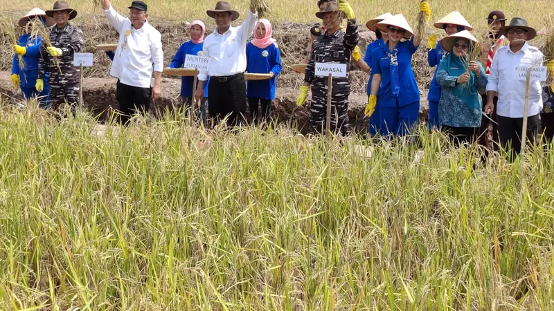Mentan Andi Amran dan Wakasal Laksamana Madya TNI Erwin saat penen raya padi dan jagung di Pangkalan Utaman TNI AL Lampung. Foto : (Liputan6.com/Ardi).