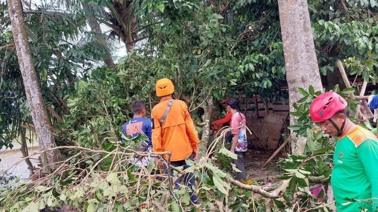 Fakta Unik: Cianjur Siaga Bencana Hidrometeorologi Selama 7 Bulan, Apa Saja yang Perlu Diwaspadai?