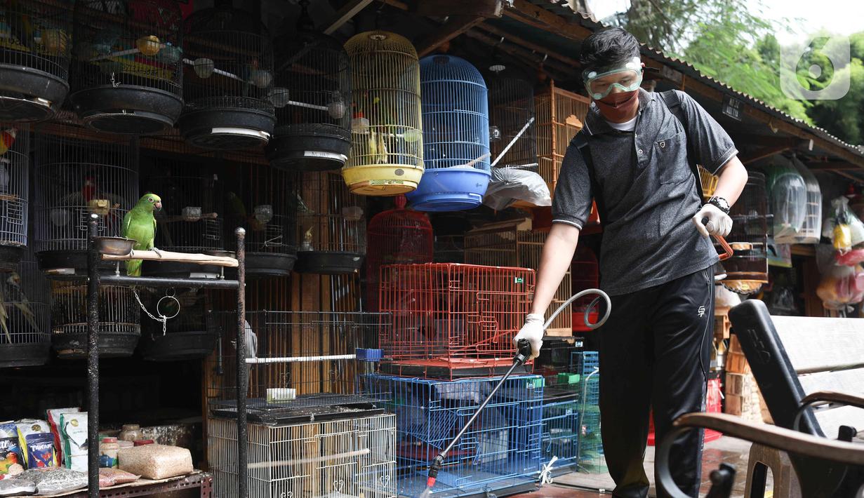 Petugas menyemprotkan cairan disinfektan untuk mencegah virus flu burung di Pasar Barito, Jakarta, Senin (28/3/2022). Penyemprotan disinfektan, pemeriksaan kesehatan hewan dan vaksinasi rabies gratis untuk mengantisipasi penyebaran penyakit di pasar hewan tersebut. (Liputan6.com/Herman Zakharia)