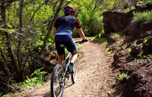 Saatnya Gowes, Intip Sepeda Gunung Terbaik untuk Temani Santai di Akhir Pekan